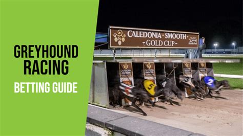 greyhound odds calculator|How To Bet On Greyhound Racing .
